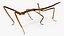 为 Maya 制作的 Stick Insect Brown