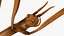为 Maya 制作的 Stick Insect Brown
