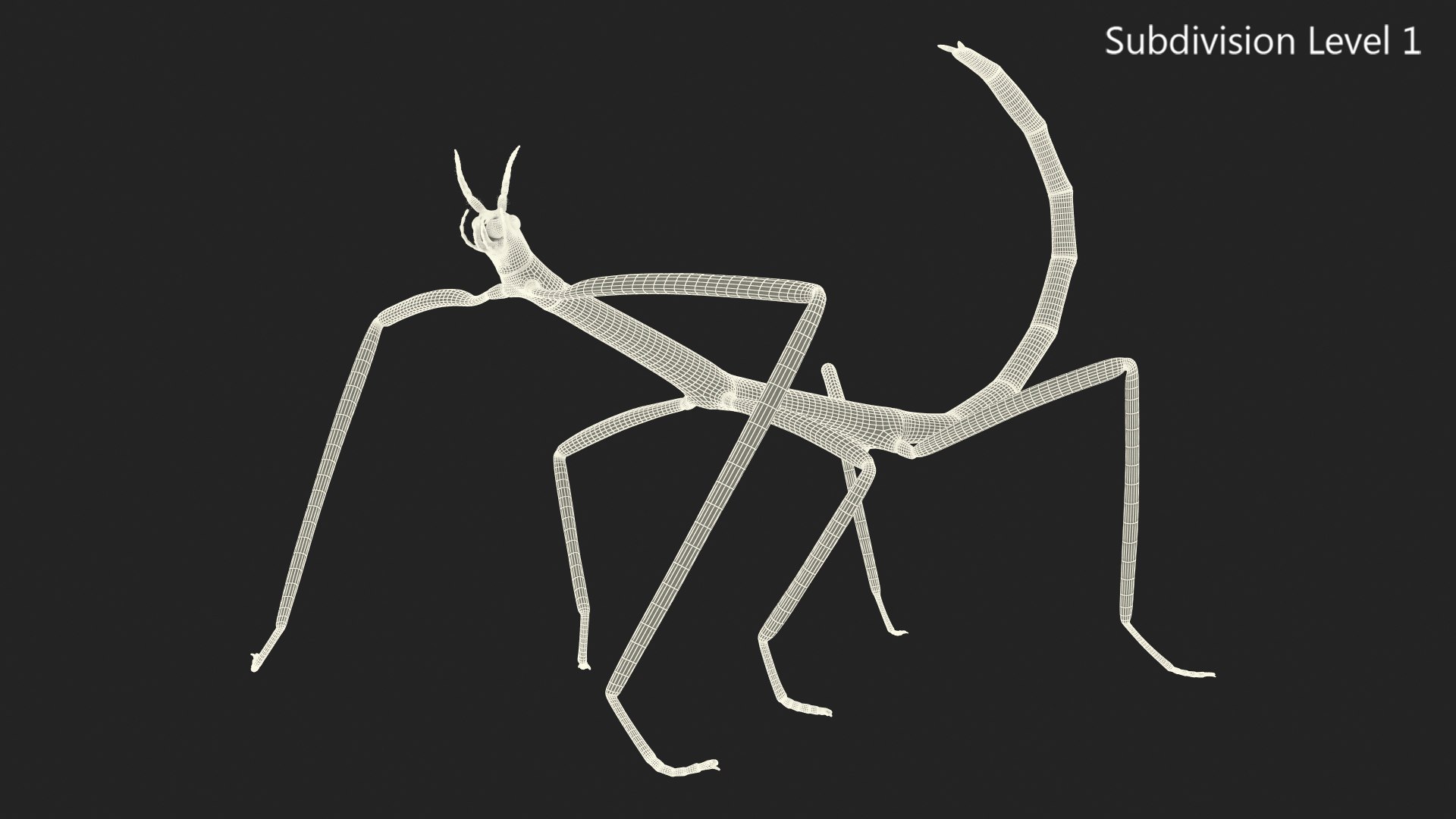 3D model stick insect brown rigged https://p.turbosquid.com/ts-thumb/gg/kTzyCj/YE1zNFXj/stickinsectbrownriggedvray3dmodel026/jpg/1579179093/1920x1080/fit_q87/ed8b2d35bd56c705152df13f245b1803f6efae2b/stickinsectbrownriggedvray3dmodel026.jpg