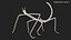 为 Maya 制作的 Stick Insect Brown