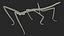 为 Maya 制作的 Stick Insect Brown