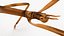 为 Maya 制作的 Stick Insect Brown