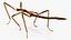 为 Maya 制作的 Stick Insect Brown