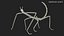 为 Maya 制作的 Stick Insect Brown