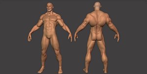3D model Muscular Male Anatomy - 3D Model