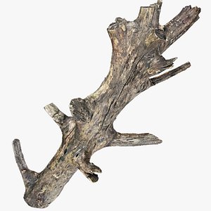 Tree trunk 3d scan 3D model