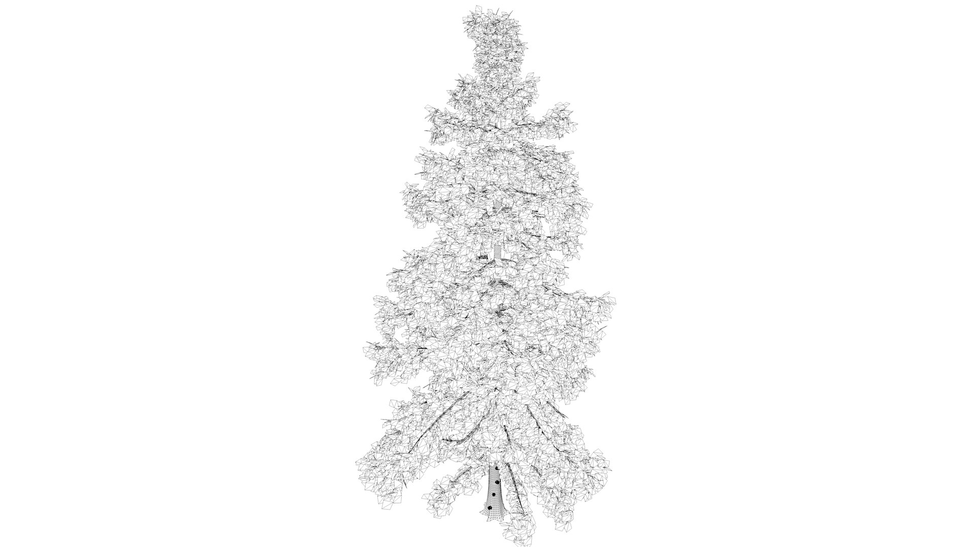 3D Alaska Cedar Tree - 07 - https://p.turbosquid.com/ts-thumb/gh/5JCUTS/1D/alaskacedar_high_31/png/1741277352/1920x1080/fit_q87/ad1c1f6ebebefc9f13591ff417bf6026c2e24f64/alaskacedar_high_31.jpg