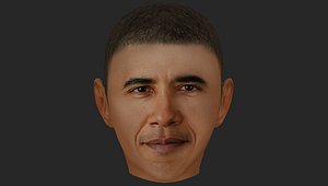 Lowly 3D Obama Face