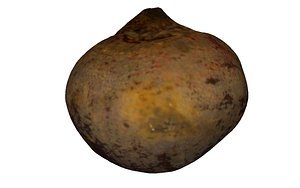3D beet scan