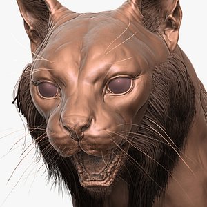 Fully Detailed Iberian Lynx Zbrush Sculpt 3D model