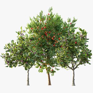 AV Fruit Trees Ficus Carica Feige Fig and Amygdalus Persica Peach 3D