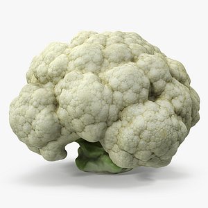 3D fresh cauliflower cabbage vegetable