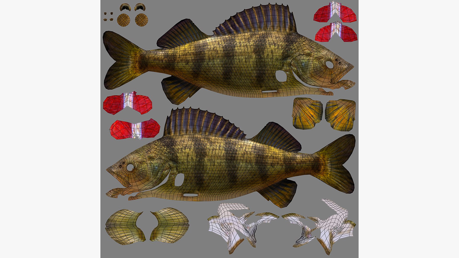 Yellow Perch 3D model https://p.turbosquid.com/ts-thumb/gh/JiI84m/GT/american_striped_yellow_perch_perca_flavescens_fish_3d_model_by_andreas_piel_uv_map/jpg/1786202809/1920x1080/fit_q87/9167676cba2369185732927fbb3d75e4b9ba774a/american_striped_yellow_perch_perca_flavescens_fish_3d_model_by_andreas_piel_uv_map.jpg