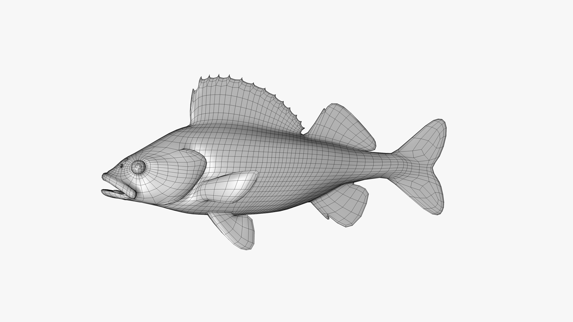 Yellow Perch 3D model https://p.turbosquid.com/ts-thumb/gh/JiI84m/kk/0000/jpg/1786202834/1920x1080/turn_fit_q99/cf156dade0c4d2fac4e066c909474005581a8e0d/0000-1.jpg