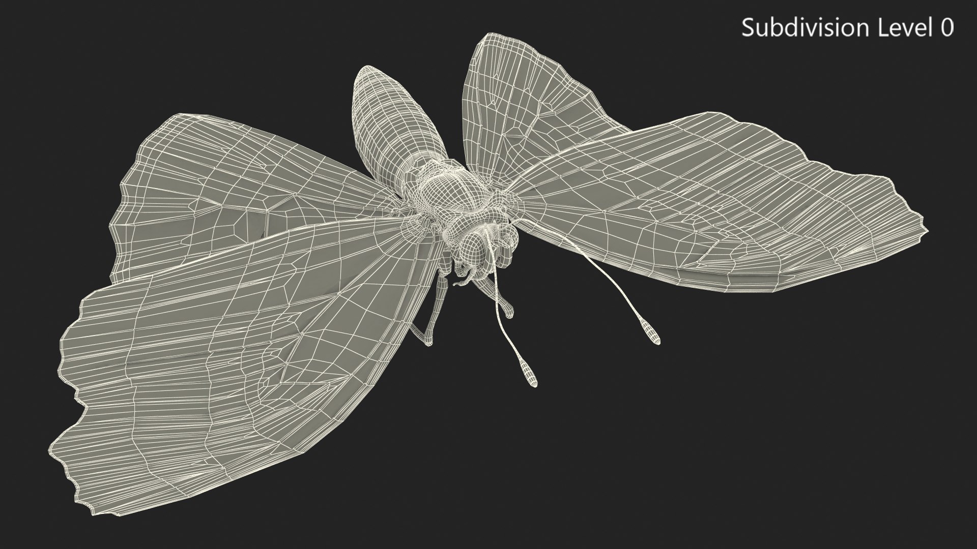 3D model Animated Flight Red Admirable Butterfly Rigged for Modo https://p.turbosquid.com/ts-thumb/gh/bPsfid/Et/animatedflightredadmirablebutterflyrigged3dsmodel013/jpg/1627484654/1920x1080/fit_q87/3c0dbbd2e191ce1199a5b23e89234f7a5649706b/animatedflightredadmirablebutterflyrigged3dsmodel013.jpg