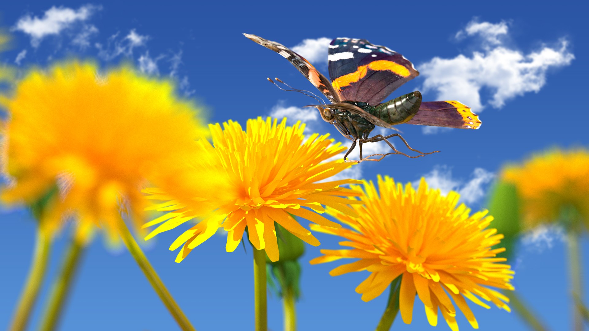 3D model Animated Flight Red Admirable Butterfly Rigged for Modo https://p.turbosquid.com/ts-thumb/gh/bPsfid/nB/animatedflightredadmirablebutterflyrigged3dsmodel003/jpg/1627484623/1920x1080/fit_q87/0fe41bd8b25f03d1cb579eb61a766a5b62b8a58e/animatedflightredadmirablebutterflyrigged3dsmodel003.jpg