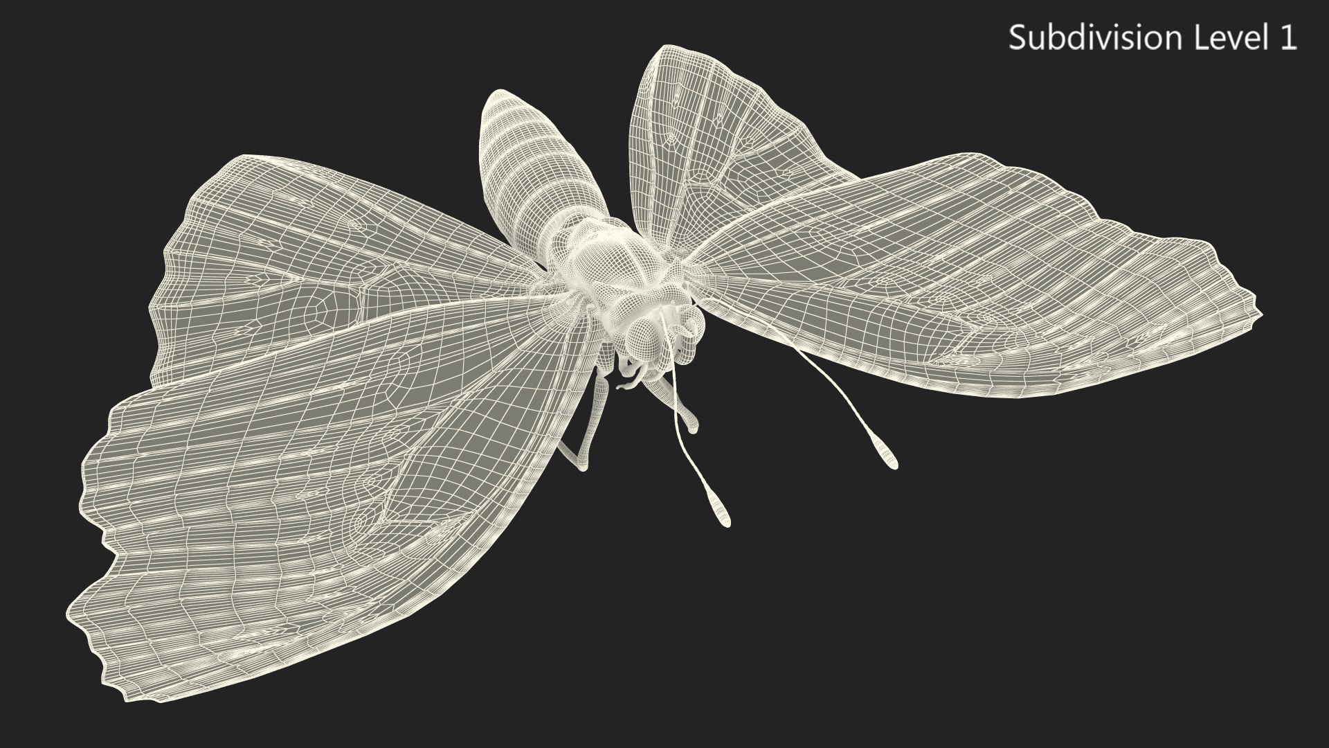 3D model Animated Flight Red Admirable Butterfly Rigged for Modo https://p.turbosquid.com/ts-thumb/gh/bPsfid/zu/animatedflightredadmirablebutterflyrigged3dsmodel014/jpg/1627484656/1920x1080/fit_q87/a76ae3a83bd93c69cb98718cde038d6b3e6dc694/animatedflightredadmirablebutterflyrigged3dsmodel014.jpg