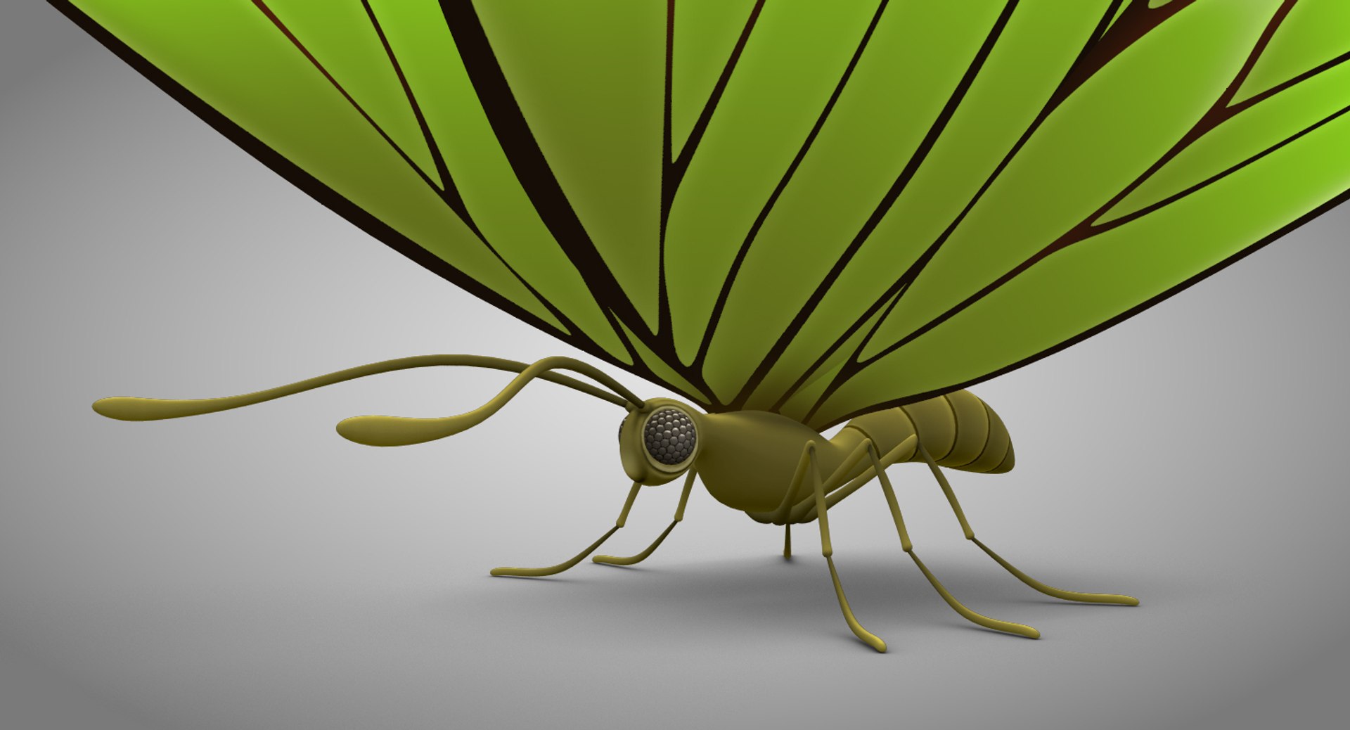 3d model beautiful butterfly cartoon https://p.turbosquid.com/ts-thumb/gh/jMHz8J/MPTe0Y1v/butterfly_03copy/jpg/1479311568/1920x1080/fit_q87/06c60ae4b1bc0199ecd7a8c3a5ab167f8ffabf6c/butterfly_03copy.jpg