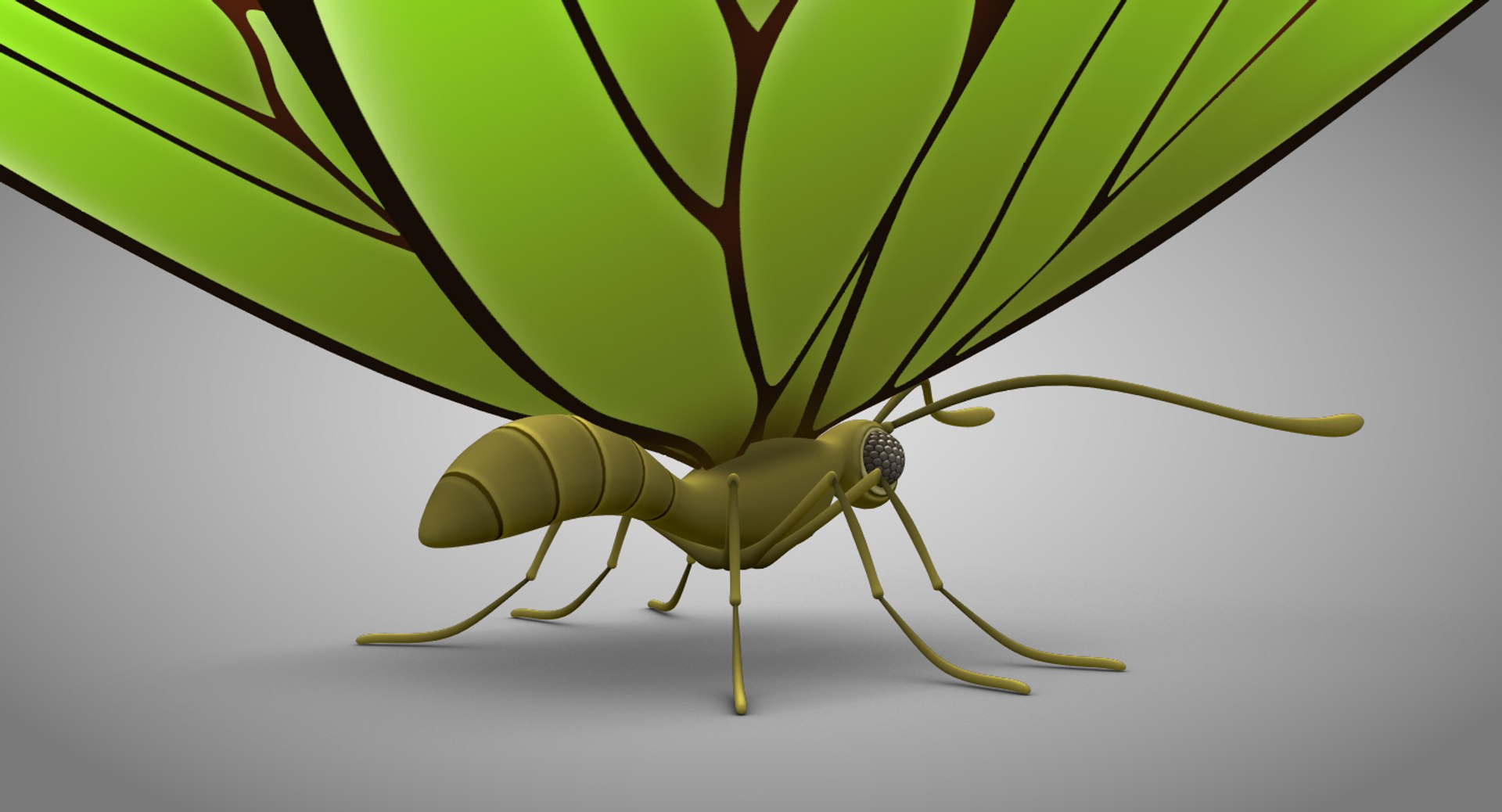 3d model beautiful butterfly cartoon https://p.turbosquid.com/ts-thumb/gh/jMHz8J/kj5wy0Nn/butterfly_04copy/jpg/1479311568/1920x1080/fit_q87/4cbeb27f34ecae65f42ed63474314c270ad65127/butterfly_04copy.jpg