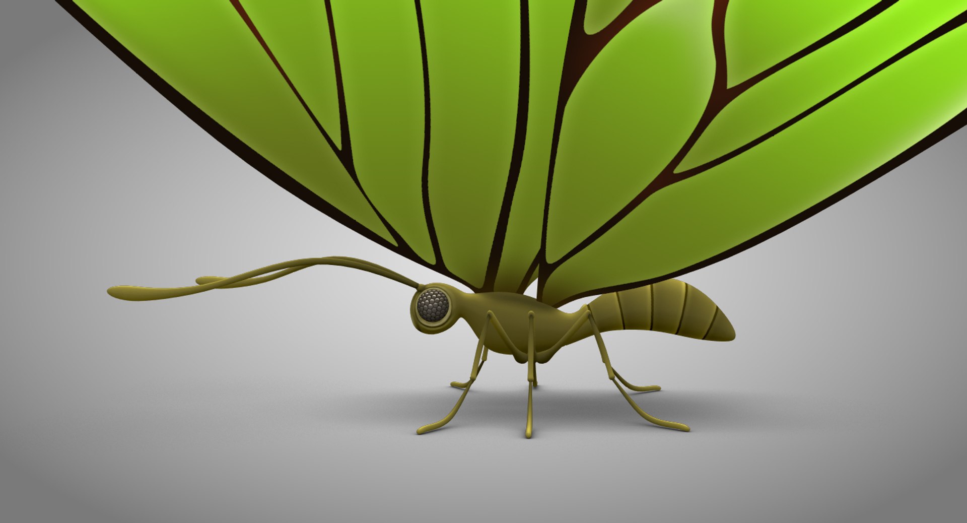 3d model beautiful butterfly cartoon https://p.turbosquid.com/ts-thumb/gh/jMHz8J/nSVaZ7Z5/butterfly_08copy/jpg/1479311568/1920x1080/fit_q87/710cecd519403fd71170fe9f7c52ee16dae25847/butterfly_08copy.jpg