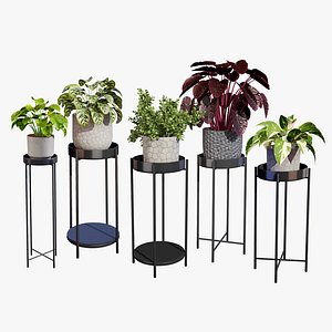 3D Realistic Potted Plants