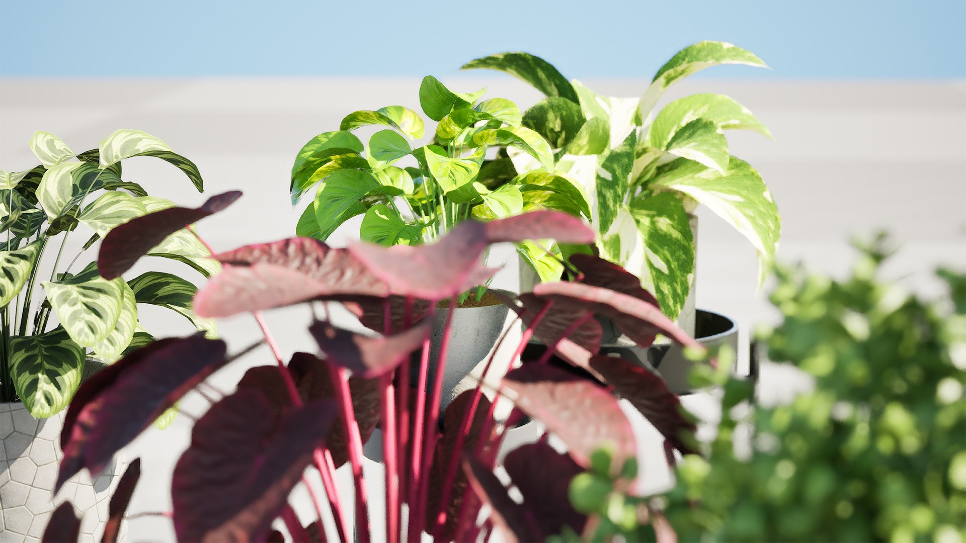 3D Realistic Potted Plants https://p.turbosquid.com/ts-thumb/gh/pn8j6R/wM/highresscreenshot00006/jpg/1722974404/1920x1080/fit_q87/e136bcdec9ebb3562675d7524d8581f9c8bbbbb4/highresscreenshot00006.jpg