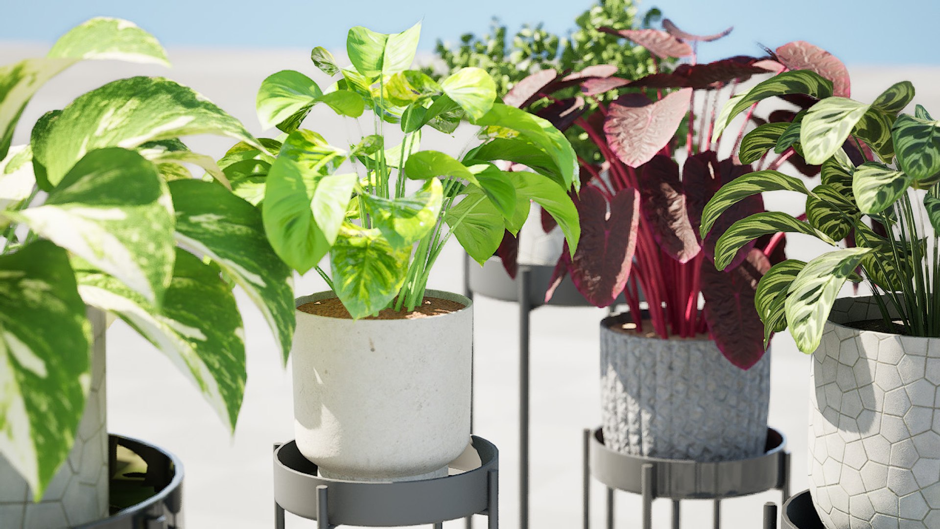 3D Realistic Potted Plants https://p.turbosquid.com/ts-thumb/gh/pn8j6R/x7/highresscreenshot00002/jpg/1722974403/1920x1080/fit_q87/d90ac81f50acc32c38068cc5a82cc7ea48a8f3f4/highresscreenshot00002.jpg