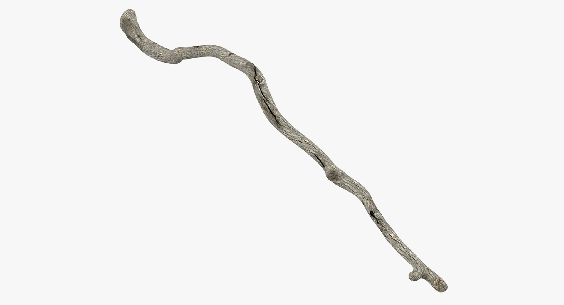 Dry Tree Branch 3D model preview