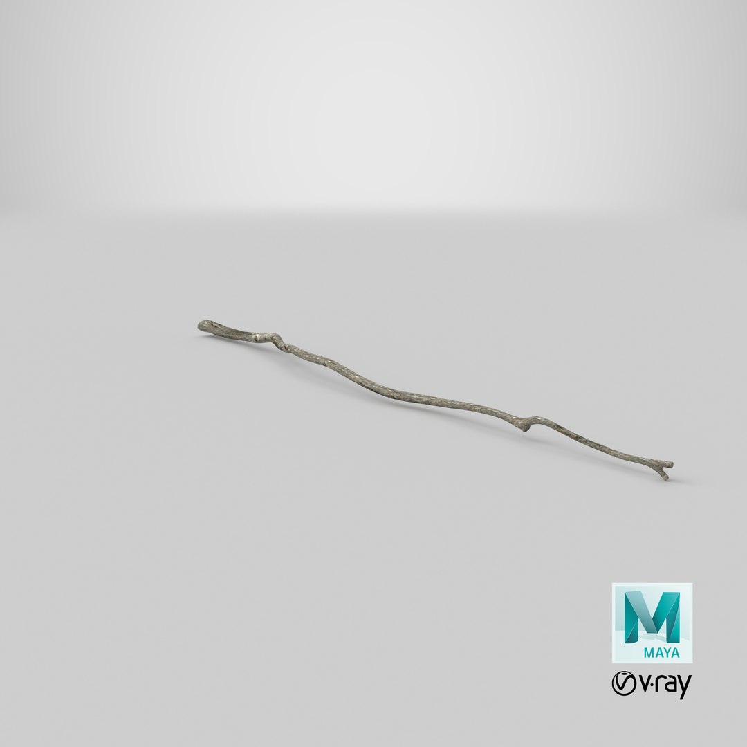 dry tree branch 3D model https://p.turbosquid.com/ts-thumb/gh/uTvXgH/Ccl6cIoW/stemcell_maya_vray_render/png/1586424435/1920x1080/fit_q87/2e1b49bf1cc467da282f31d2ed726f4d2ef8de0f/stemcell_maya_vray_render.jpg