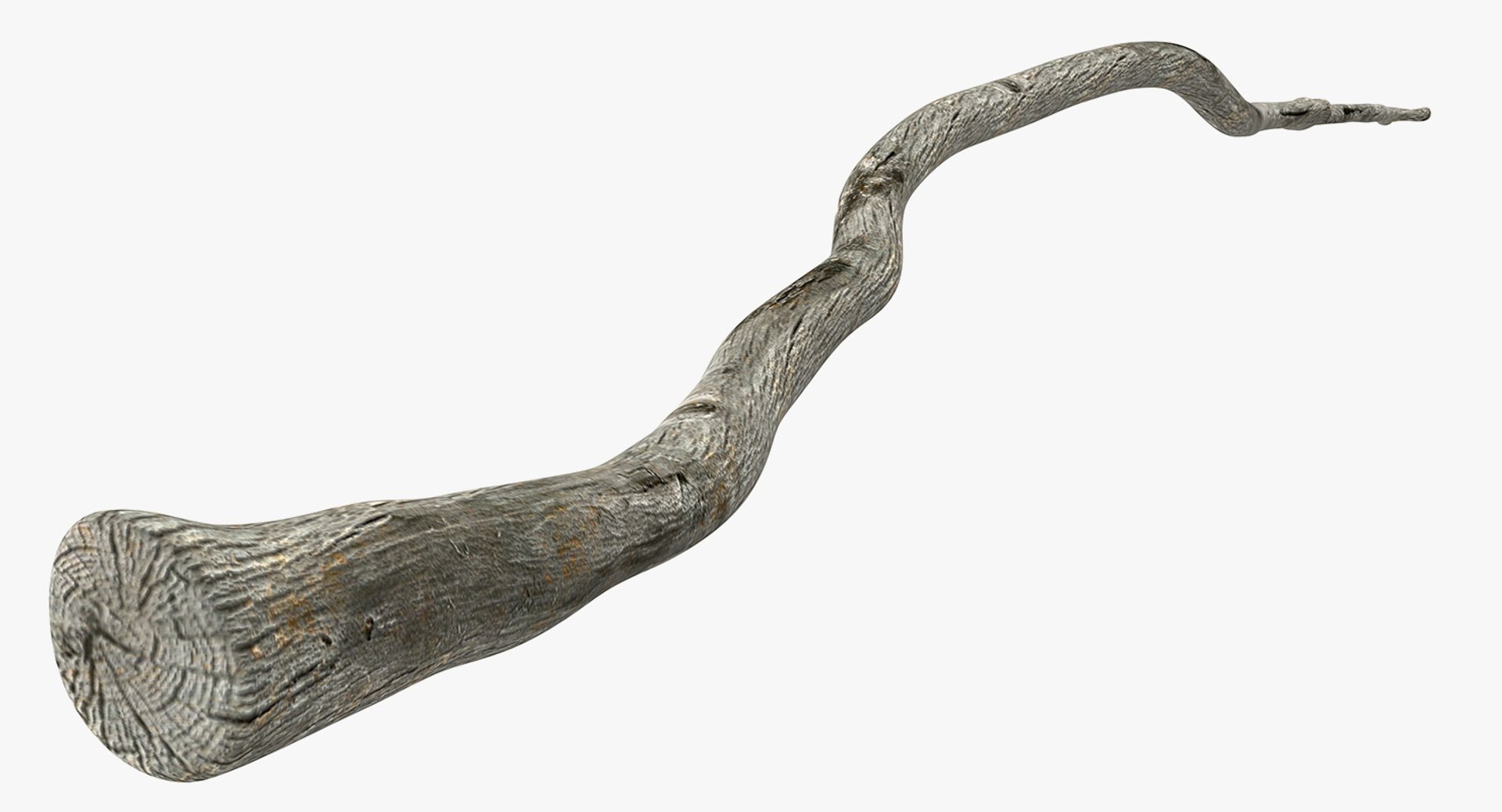 Dry Tree Branch 3D Model - TurboSquid 1416202