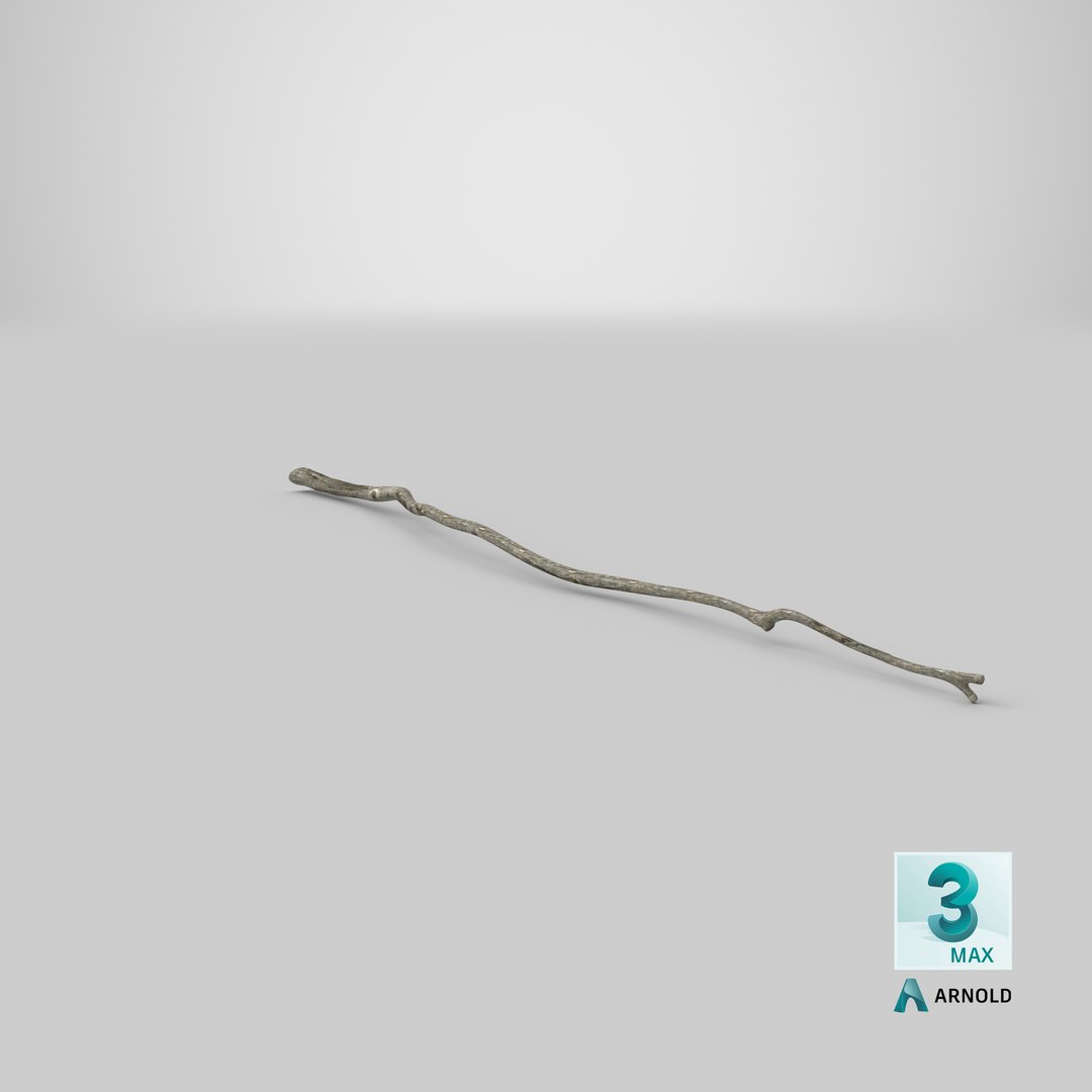 dry tree branch 3D model https://p.turbosquid.com/ts-thumb/gh/uTvXgH/Kw2iPrJi/stemcell_max_arnold_render/png/1586424419/1920x1080/fit_q87/9d3e8c37638657f41d29fae8b139d64e4c69d86f/stemcell_max_arnold_render.jpg