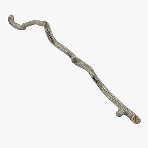 Dry Tree Branch