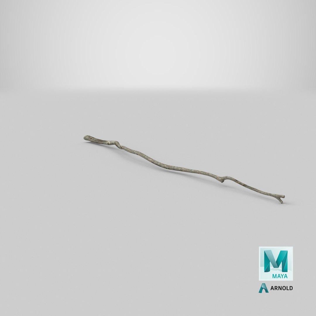 dry tree branch 3D model https://p.turbosquid.com/ts-thumb/gh/uTvXgH/ntA1KEZz/stemcell_maya_arnold_render/png/1586424429/1920x1080/fit_q87/9eebbb11c1b816c1cffc73fbcd2f273750ef3114/stemcell_maya_arnold_render.jpg
