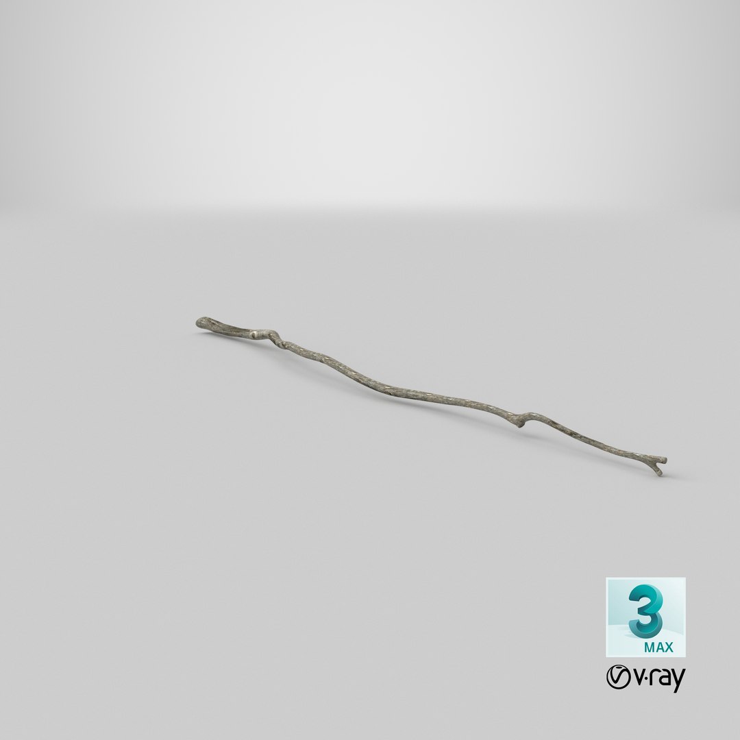 dry tree branch 3D model https://p.turbosquid.com/ts-thumb/gh/uTvXgH/p8IJJCgz/stemcell_max_vray_render/png/1586424426/1920x1080/fit_q87/400af05353c8e9f180806ff21cdde8c6c74b8553/stemcell_max_vray_render.jpg