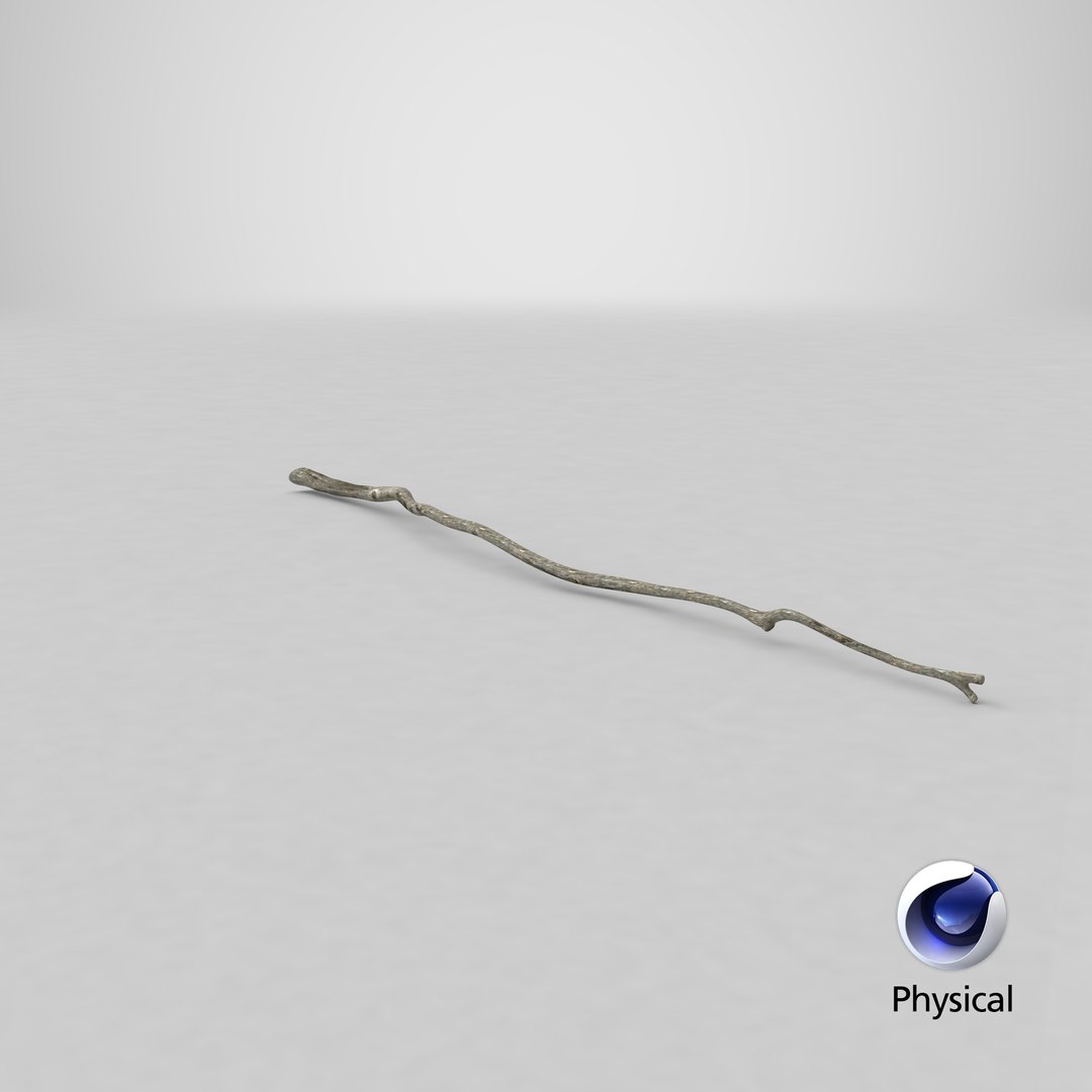 dry tree branch 3D model https://p.turbosquid.com/ts-thumb/gh/uTvXgH/r5M16O2J/stemcell_cinema_4d_physical_render/png/1586424407/1920x1080/fit_q87/75ed2ac06e0820b68589eb3c2f2b2cab3f5036a1/stemcell_cinema_4d_physical_render.jpg
