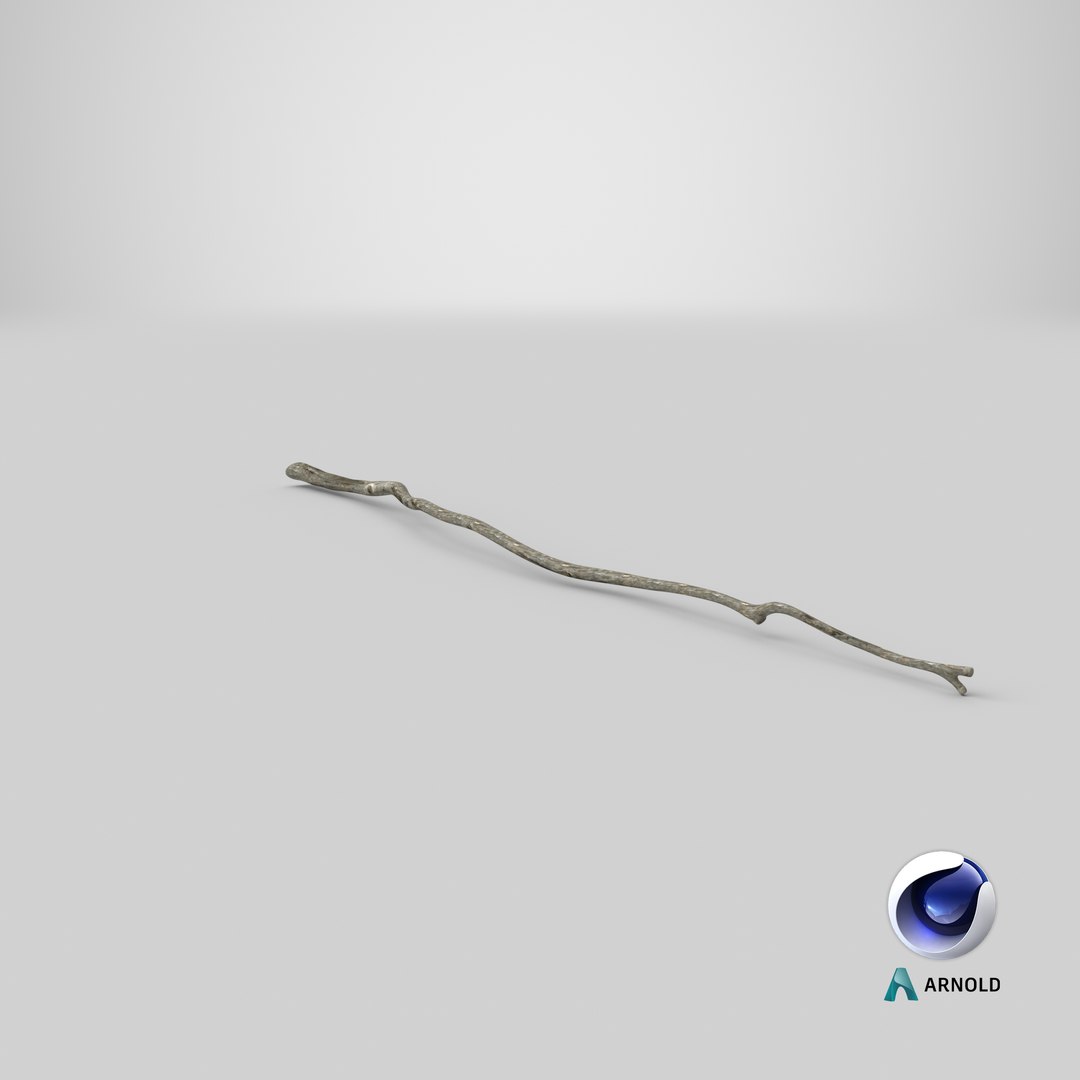 dry tree branch 3D model https://p.turbosquid.com/ts-thumb/gh/uTvXgH/xlGYiLD1/stemcell_cinema_4d_arnold_render/png/1586424410/1920x1080/fit_q87/0037030acd83e5d5c502ac9e7aff337b31f223a7/stemcell_cinema_4d_arnold_render.jpg