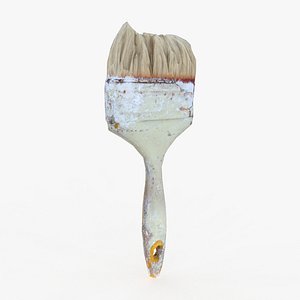 Old Paint Brush Scan 3D