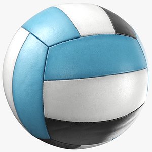 Generic Volleyball Ball WBB