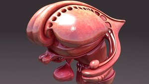 3d inner section brain