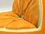 Nature orange chair