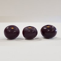 Acai Akai