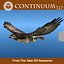 Red Tailed Hawk - Landing Morph sequence