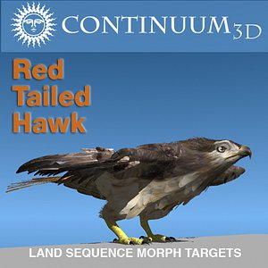 Red Tailed Hawk - Landing Morph sequence