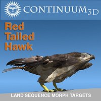 Red Tailed Hawk - Landing Morph sequence