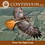 Red Tailed Hawk - Landing Morph sequence