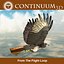 Red Tailed Hawk - Landing Morph sequence
