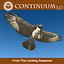 Red Tailed Hawk - Landing Morph sequence