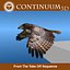 Red Tailed Hawk - Landing Morph sequence