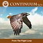 Red Tailed Hawk - Landing Morph sequence