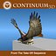 Red Tailed Hawk - Landing Morph sequence